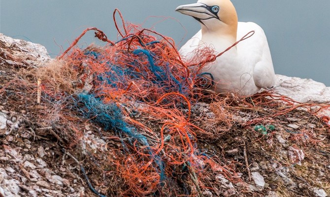 A "caccia" di reti da pesca disperse nel mare, per tutelare i pesci e i fondali