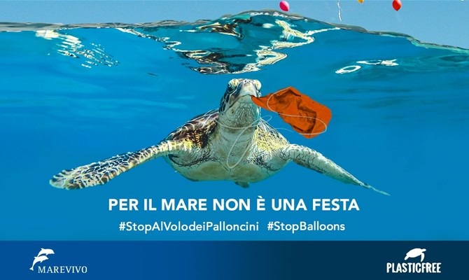 #StopAlVoloDeiPalloncini: lanciata la petizione contro il volo dei palloncini che ogni anno uccidono molti animali